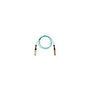 Cisco QSFP-100G-AOC15M= Cable de fibra óptica activa de 15 m