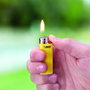 Bic Encendedor Mini j25 Colores Surtidos Expositor 50 uds