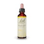 Bach Original Wild Oat/Avena Silvestre Nº36, 20ml