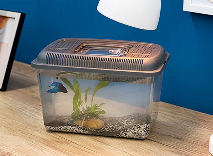 Mascow Pecera Grande 30x20 cm Azul con Asas Doble Apertura Plástico Resistente 7 L (Set de 8)