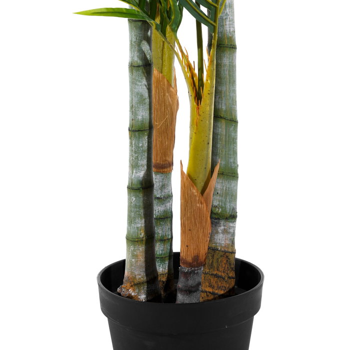 Planta Areca Palmera Verde 100 X 130 X 210 cm