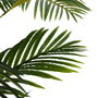 Planta Areca Palmera Verde 100 X 130 X 210 cm