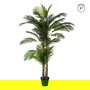 Planta Areca Palmera Verde 100 X 130 X 210 cm