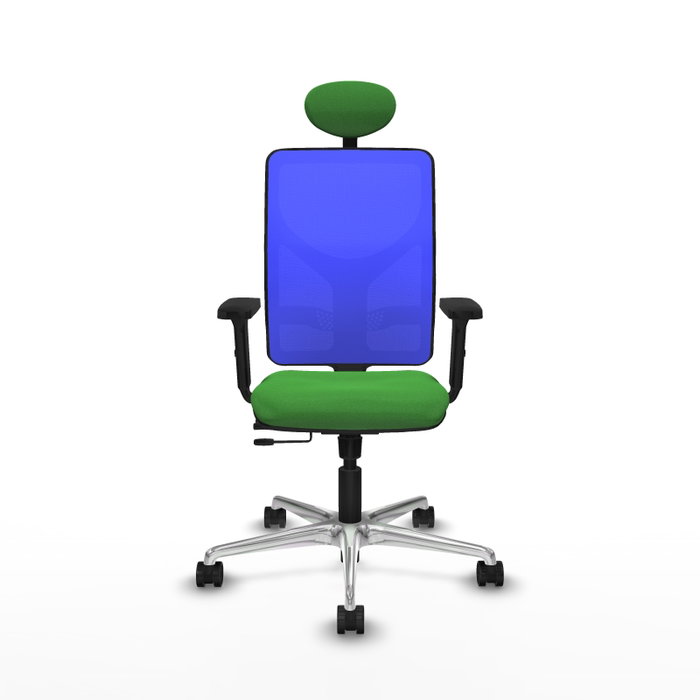 PIQUERAS Y CRESPO Silla de oficina Motilla con mecanismo Sincro/Traslack, Verde y Azul
