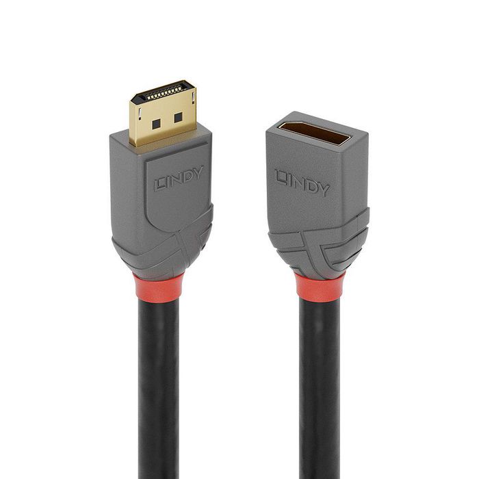 Lindy Cable de extensión DisplayPort 1.4 0.4 0.50 m, Línea Anthra Lindy Cable de extensión DisplayPort 1.4 0.4 0.50 m, Línea Anthra