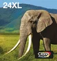 Epson Multipack 24XL Claria Photo HD 6 Colores Elefant