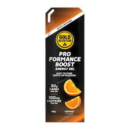 GOLD NUTRITION PRO.FORMANCE Energy Gel de Naranja 48 g