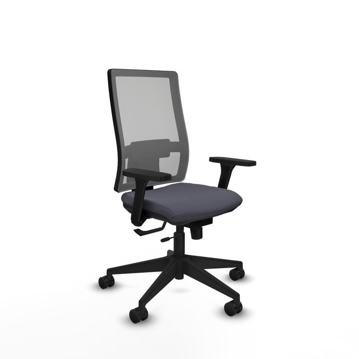 PIQUERAS Y CRESPO Silla de oficina Horna con mecanismo Sincro/Traslack Gris PIQUERAS Y CRESPO Silla de oficina Horna con mecanismo Sincro/Traslack Gris