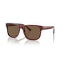 Gafas de Sol Hombre Emporio Armani EA 4163 Multicolor