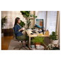 HP P34hc G4 Monitor Curvo WQHD 34 pulgadas USB-C