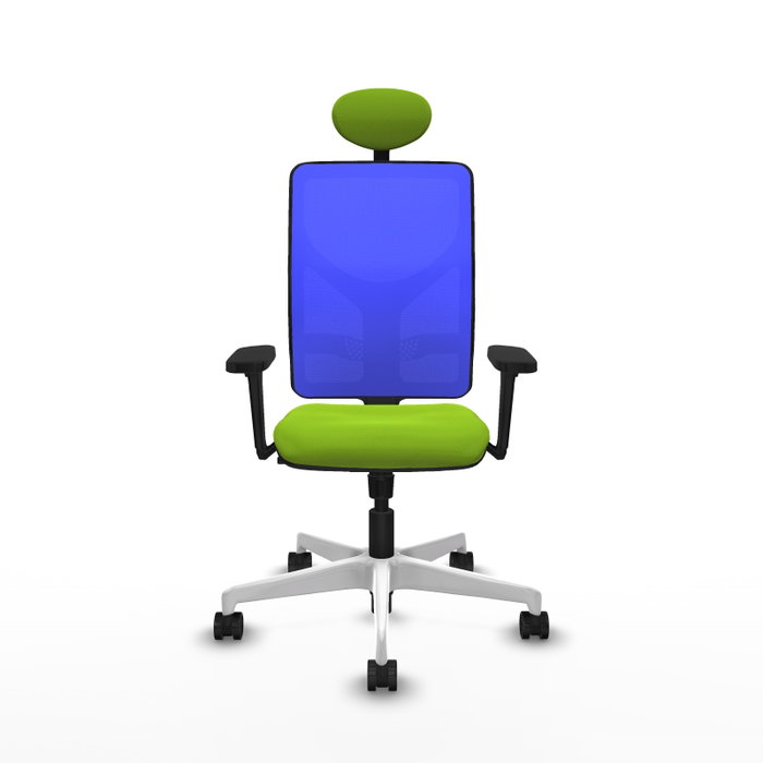 PIQUERAS Y CRESPO Silla de oficina Motilla con mecanismo Sincro, Pistacho y Azul PIQUERAS Y CRESPO Silla de oficina Motilla con mecanismo Sincro, Pistacho y Azul