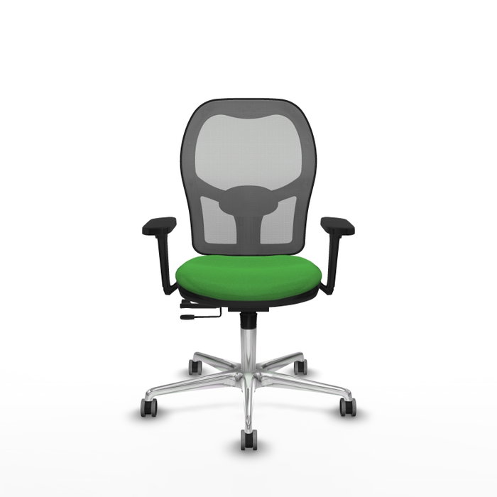 PIQUERAS Y CRESPO Silla de oficina Jorquera con mecanismo Sincro/Traslack, Verde y Gris PIQUERAS Y CRESPO Silla de oficina Jorquera con mecanismo Sincro/Traslack, Verde y Gris