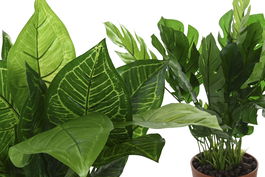 DKD Home Decor Planta Tropical Verde 20 x 45 x 20 cm (6 Unidades)