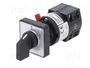SCHNEIDER ELECTRIC Interruptor de leva 10A 0-1 de 2 posiciones