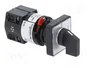 SCHNEIDER ELECTRIC Interruptor de leva 10A 0-1 de 2 posiciones