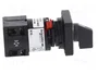 SCHNEIDER ELECTRIC Interruptor de leva 10A 0-1 de 2 posiciones