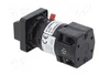SCHNEIDER ELECTRIC Interruptor de leva 10A 0-1 de 2 posiciones