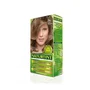 Naturtint Tinte sin Amoniaco 7N-Rubio Avellana 170 ml