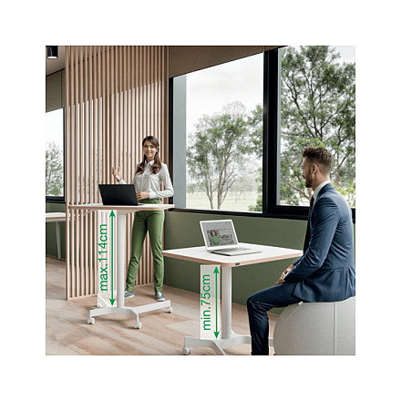 LEITZ Mesa Ergo Elevable Neumática Blanca