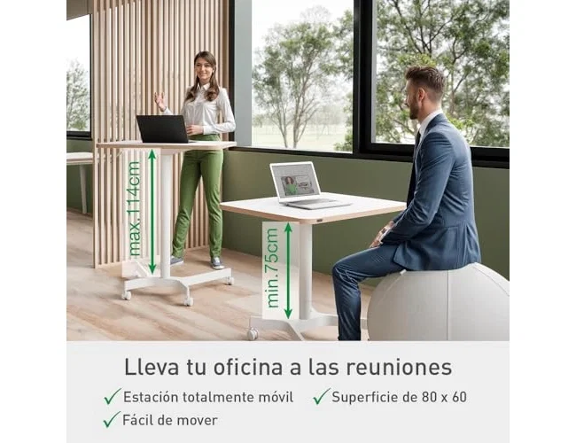 LEITZ Mesa Ergo Elevable Neumática Blanca