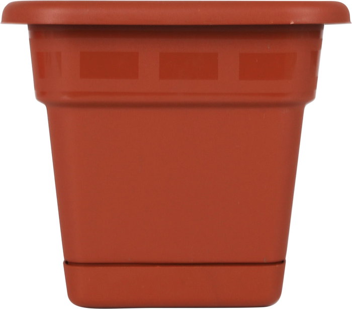 Dem Jardinera con Plato "Squares" 50 x 20 cm (8 Unidades)