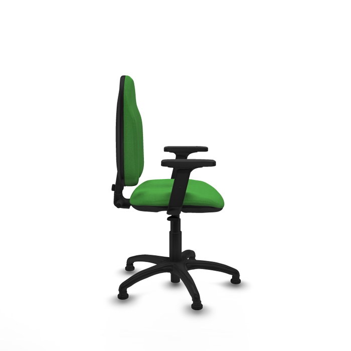 PIQUERAS Y CRESPO Silla de oficina Algarra Verde con Brazos 2D PIQUERAS Y CRESPO Silla de oficina Algarra Verde con Brazos 2D