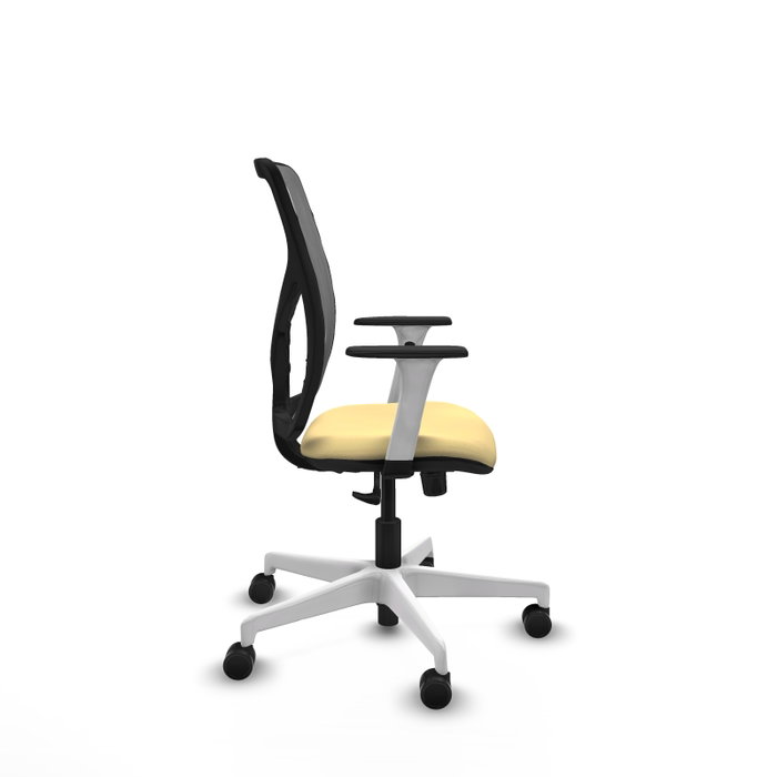 PIQUERAS Y CRESPO Silla de oficina Motilla con Mecanismo Sincro, Crema y Gris PIQUERAS Y CRESPO Silla de oficina Motilla con Mecanismo Sincro, Crema y Gris