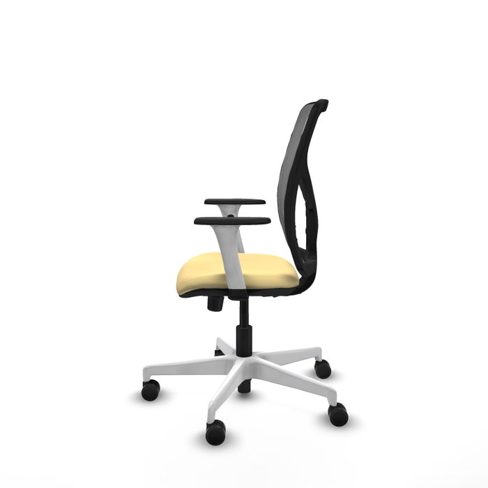 PIQUERAS Y CRESPO Silla de oficina Motilla con Mecanismo Sincro, Crema y Gris PIQUERAS Y CRESPO Silla de oficina Motilla con Mecanismo Sincro, Crema y Gris
