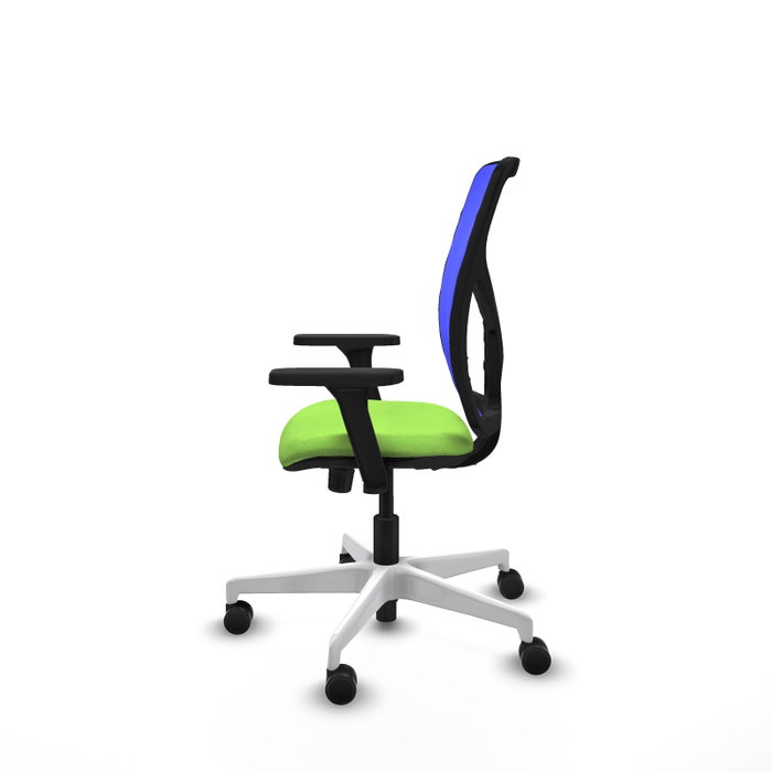 PIQUERAS Y CRESPO Silla de oficina Motilla con mecanismo Sincro, Azul y Pistacho PIQUERAS Y CRESPO Silla de oficina Motilla con mecanismo Sincro, Azul y Pistacho