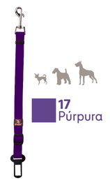 ARPPE Correa Perro Nylon Automóvil Talla 00