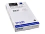 Epson T04C1 Ink-jet Negro Original - Cartucho de Tinta para 2900 páginas