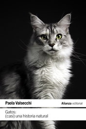 Gatos: (Casi) una historia natural, Paola Valsecchi - ALIANZA