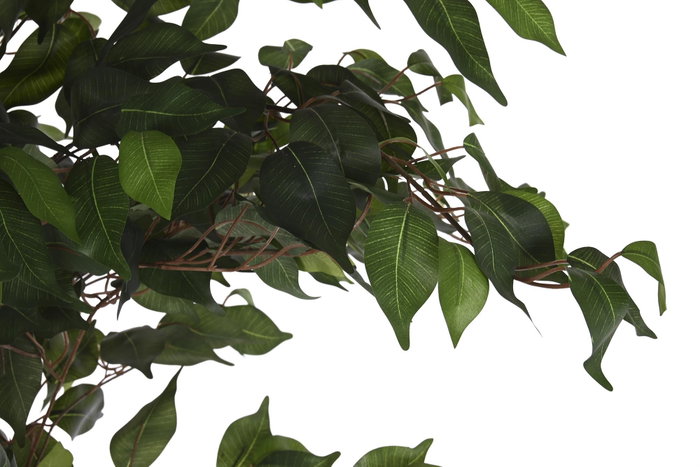 DKD Home Decor Árbol Higuera de Bengala Verde 90 x 180 x 90 cm (2 Unidades)