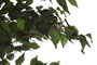 DKD Home Decor Árbol Higuera de Bengala Verde 90 x 180 x 90 cm (2 Unidades)