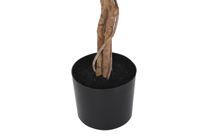DKD Home Decor Árbol Higuera de Bengala Verde 90 x 180 x 90 cm (2 Unidades)