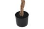DKD Home Decor Árbol Higuera de Bengala Verde 90 x 180 x 90 cm (2 Unidades)