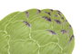 DKD Home Decor Platos de Gres Alcachofa Verde 21,5x18x3 cm (Pack de 4)