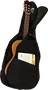 Tobago Funda Guitarra Acústica Poliéster 600D, Bolsillo, Correas Ajustables, Asa Lateral (Display 10 Un.)