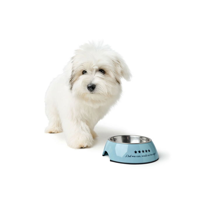 Comedero para Perro Hunter Mayfair Azul 350 ml