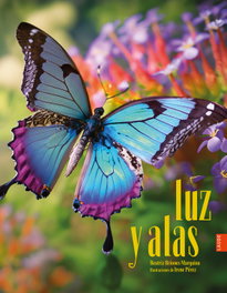 Luz y alas, Beatriz Briones Marquina - EDELVIVES