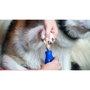 Dremel 7350-PET Nail Care Set