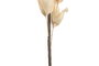 DKD Home Decor RAMA EVA 18X10X107 BEIGE