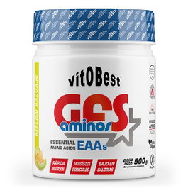 VIT.O.BEST GFS AMINOS POWDER Wild Melon 500g