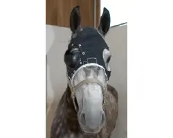 Kruuse Eye Protector Equivet Ojo Derecho Medio