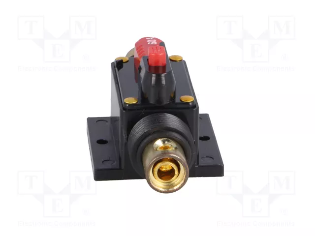 4CARMEDIA Fusible Automático de Coche 60A Retardado