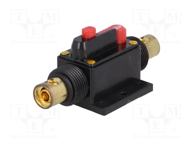 4CARMEDIA Fusible Automático de Coche 60A Retardado
