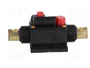 4CARMEDIA Fusible Automático de Coche 60A Retardado