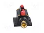 4CARMEDIA Fusible Automático de Coche 60A Retardado