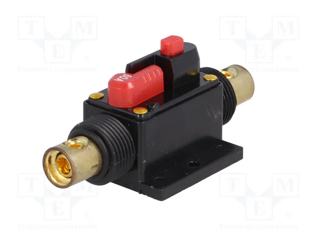 4CARMEDIA Fusible Automático de Coche 60A Retardado