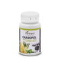 PLANTAPOL CARBOPOL 60 cápsulas